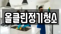 올클린정기청소