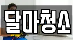 달마청소