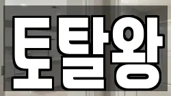 토탈왕