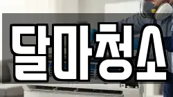달마청소