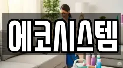 에코시스템