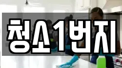 청소1번지