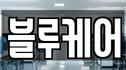 블루케어