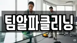 팀알파클리닝