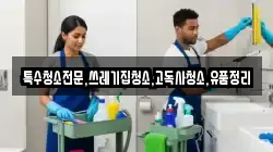 전북특별자치도 전주시 완산구 원당동 청소,입주청소,사무실청소,에어컨청소,특수청소,상가청소,거주청소,유품정리