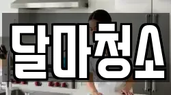 달마청소