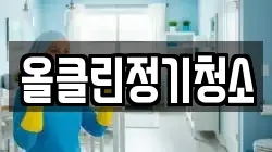 올클린정기청소