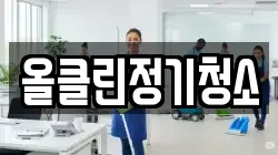 올클린정기청소
