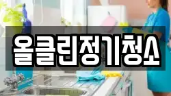 올클린정기청소
