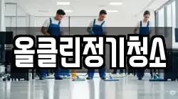 올클린정기청소