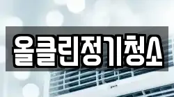 올클린정기청소