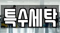 특수세탁