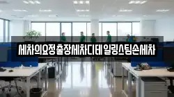 세차의요정출장세차디테일링스팀손세차