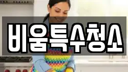 비움특수청소