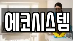 에코시스템