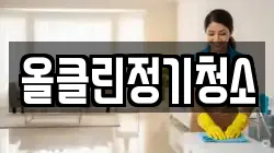 올클린정기청소