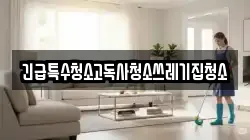 긴급특수청소고독사청소쓰레기집청소
