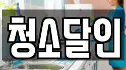 청소달인
