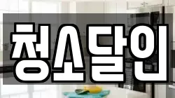 청소달인