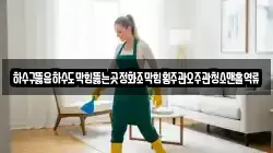 하수구뚫음하수도막힘뚫는곳정화조막힘횡주관오주관청소맨홀역류
