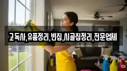 전북특별자치도 진안군 부귀면 청소,입주청소,사무실청소,에어컨청소,특수청소,상가청소,거주청소,유품정리
