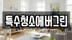 특수청소에버그린
