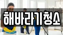 해바라기청소