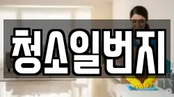 청소일번지
