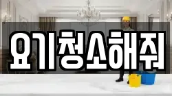 요기청소해줘