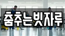 춤추는빗자루