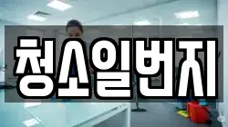 청소일번지