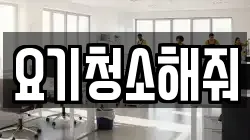 요기청소해줘