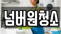 넘버원청소