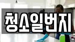 청소일번지