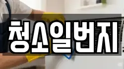 청소일번지