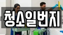 청소일번지