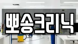 전북 군산시 신창동 청소,입주청소,사무실청소,에어컨청소,특수청소,상가청소,거주청소,유품정리