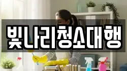 빛나리청소대행