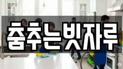 춤추는빗자루