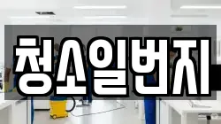 청소일번지