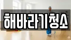 해바라기청소