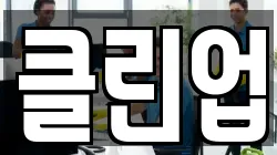 클린업
