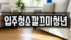 입주청소깔끄미청년