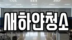 새하얀청소