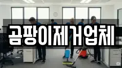 곰팡이제거업체