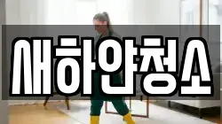 새하얀청소