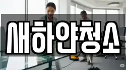 새하얀청소