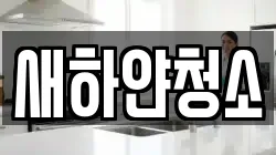 새하얀청소