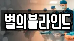 별의블라인드