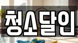 청소달인
